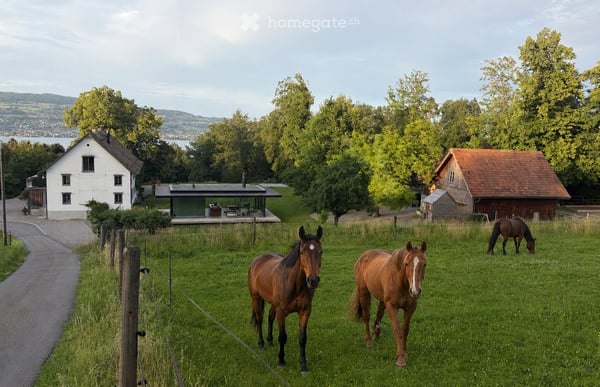 Ein Bauernhof als Zuhause – 40'000 m² Natur, Pool, Sauna & Pferdestall 32