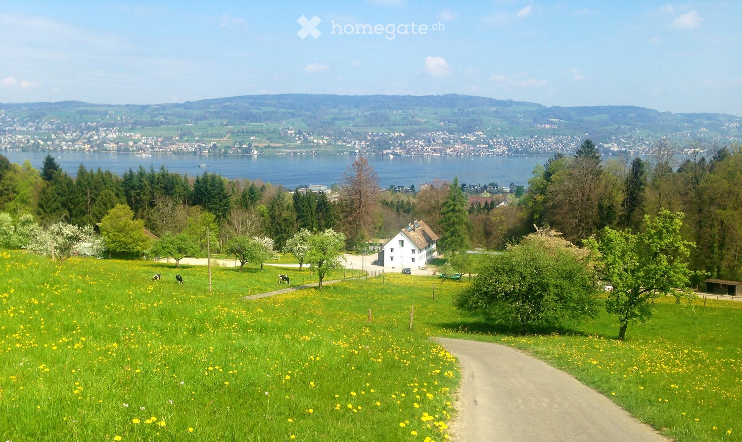 A scenic countryside view with a white house, green fields, grazing cows, and a distant lake and town.