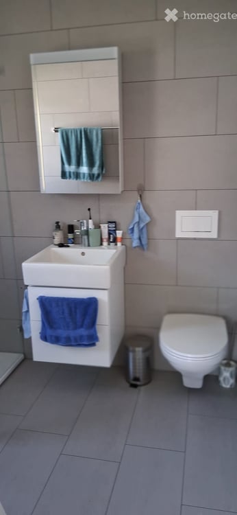 Möbliertes 1-Zimmer in Rüti ZH – modern und mit eigenem Bad 4