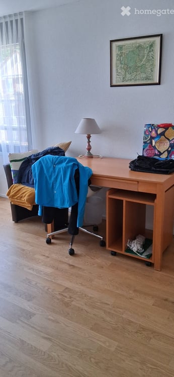 Möbliertes 1-Zimmer in Rüti ZH – modern und mit eigenem Bad 5
