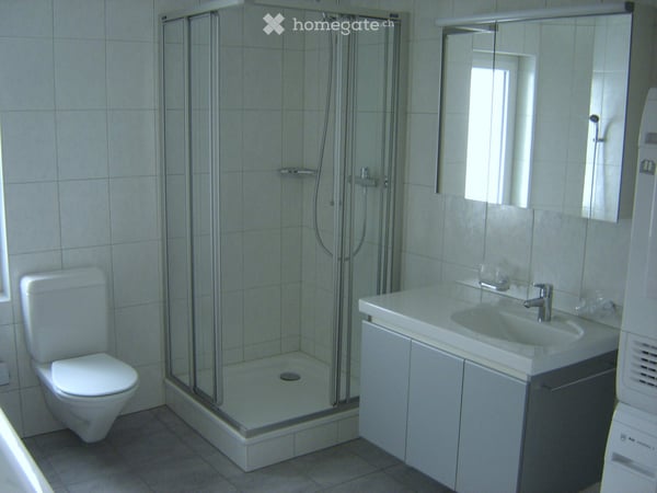 Sonnige 3.5 Zimmerwohnung im Hochparterre 4