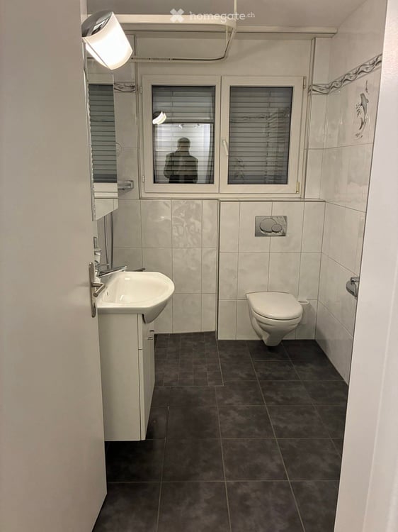 Wohnung in Winterthur 11