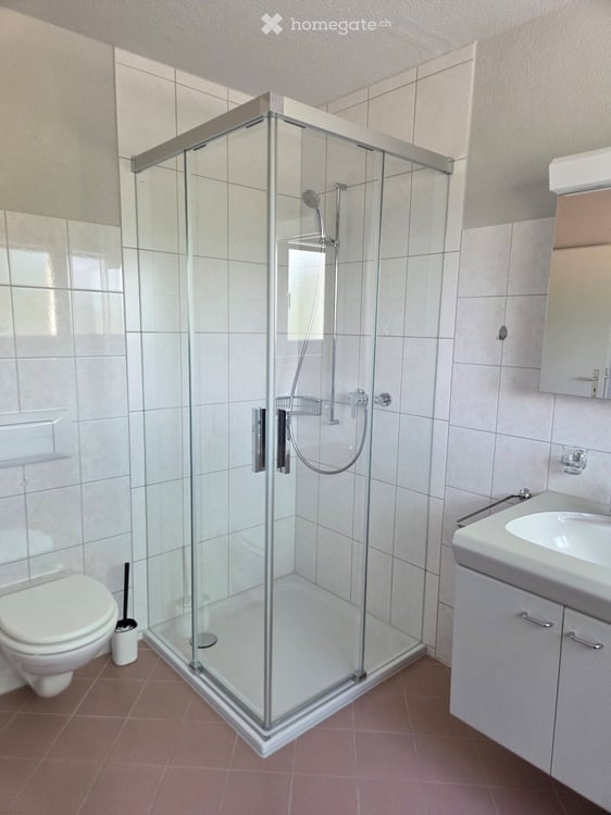 Helle 3.5-Zimmer-Wohnung mit grosser Terrasse in Oberwinterthur 11
