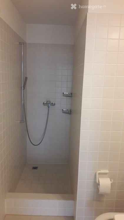 Moderne und helle 4.5 Zimmer Wohnung mit guter öV Anbindung (unmöbliert) 10