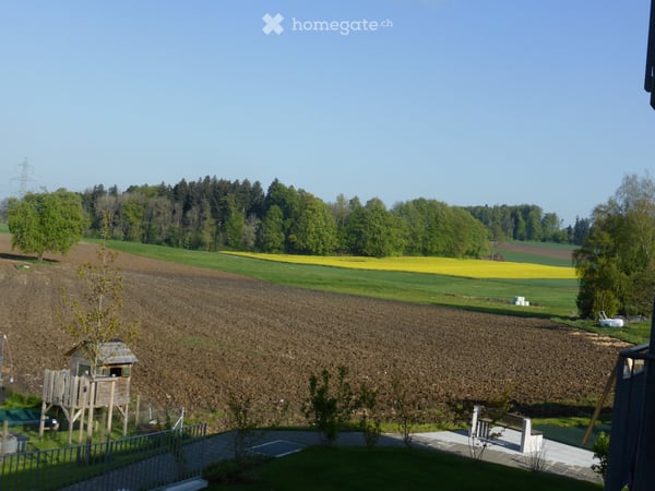 So schön kann wohnen sein, 124m² grosse 3,5 Zi- Wohnung zur Vermietung 9