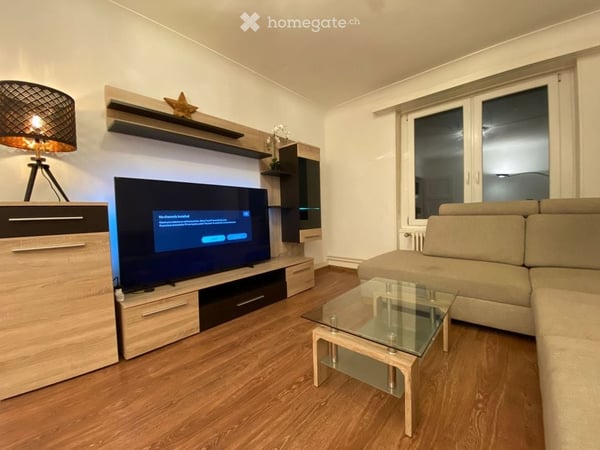 Large and Spacious Apartment with two bedrooms and Large Balcony 7