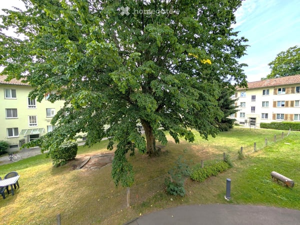 Helle 2.5-Zimmer-Wohnung mit Balkon in Zürich-Altstetten – sofort verfügbar 9