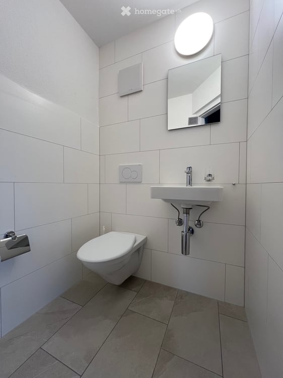 Dachwohnung in Winterthur 5