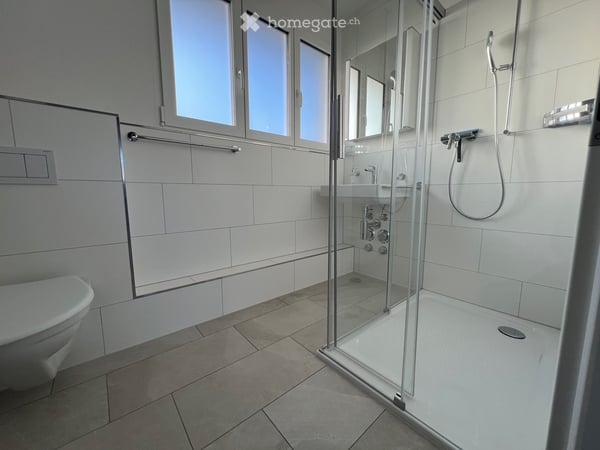Dachwohnung in Winterthur 4