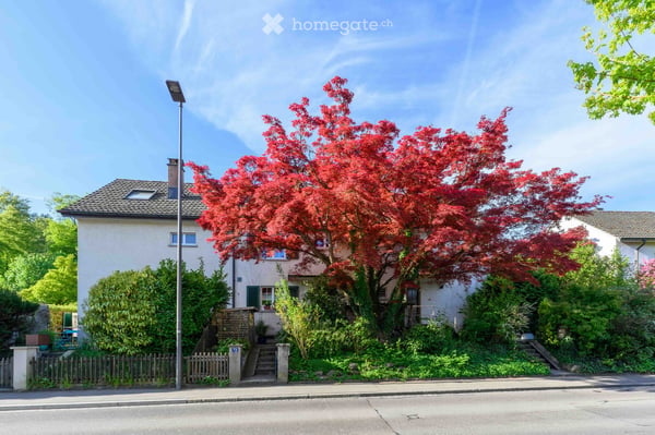 Charmantes Reiheneinfamilienhaus im Heiligberg-Quartier in Winterthur 3