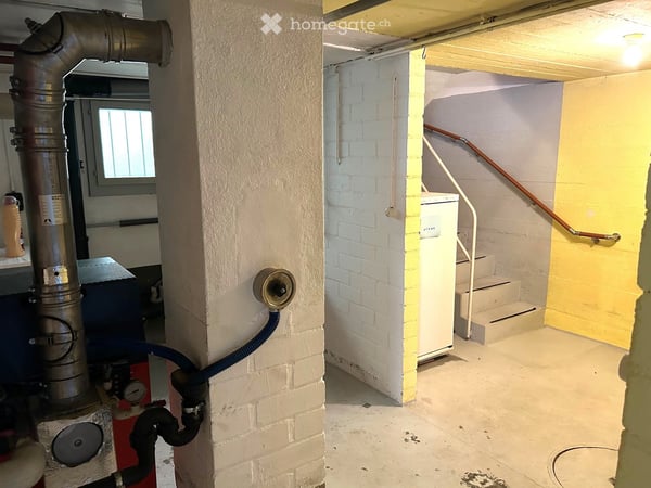 Freistehendes Einfamilienhaus in Biel-Benken – 5 Zimmer mit Garten und Garage 20