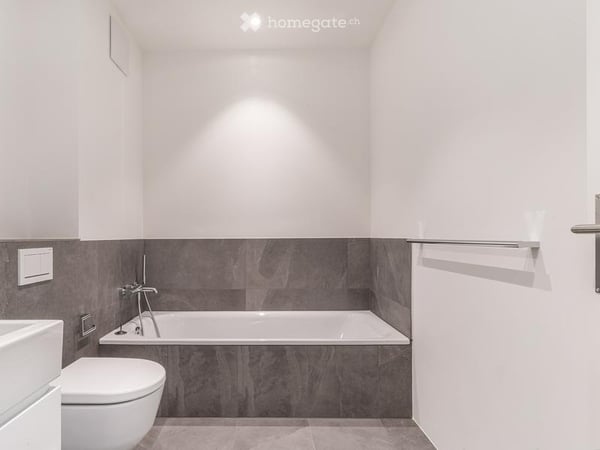 Exklusive Loftwohnung mit privatem Garten in Basel – modern, ruhig und sofort verfügbar 8