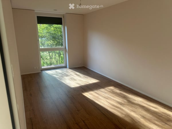 5.5 Room Spacious Unit in City Zug 5