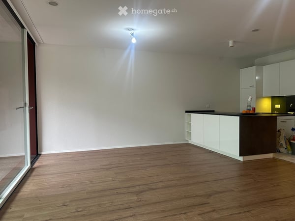 5.5 Room Spacious Unit in City Zug 2
