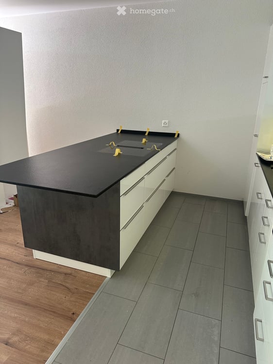 5.5 Room Spacious Unit in City Zug 3