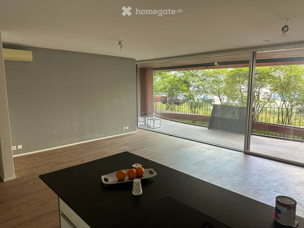 5.5 Room Spacious Unit in City Zug 4