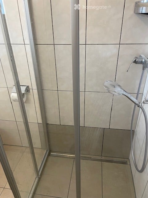 4.5-Zimmer-Wohnung in ruhiger Lage in Riken AG 10
