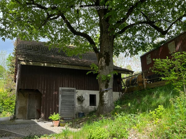 Zwei 4.5 Zimmer-Wohnungen Stallikon - Neubau 4