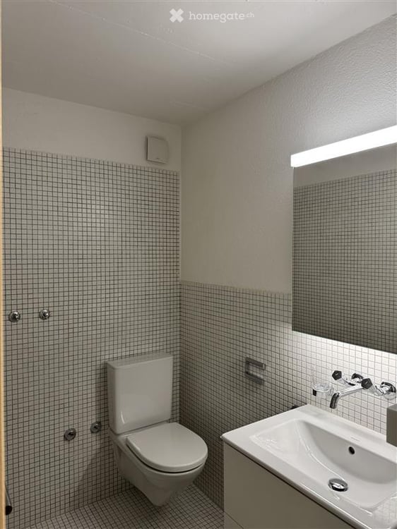 Moderne 3-Zimmer-Wohnung in Rütihof – frisch renoviert und ruhig gelegen 6