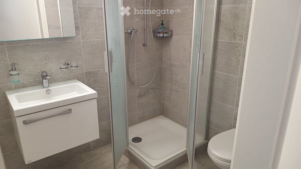 Wohnung in modernem Gebäude nahe Altstetten / Apartment in modern building near Altstetten 2