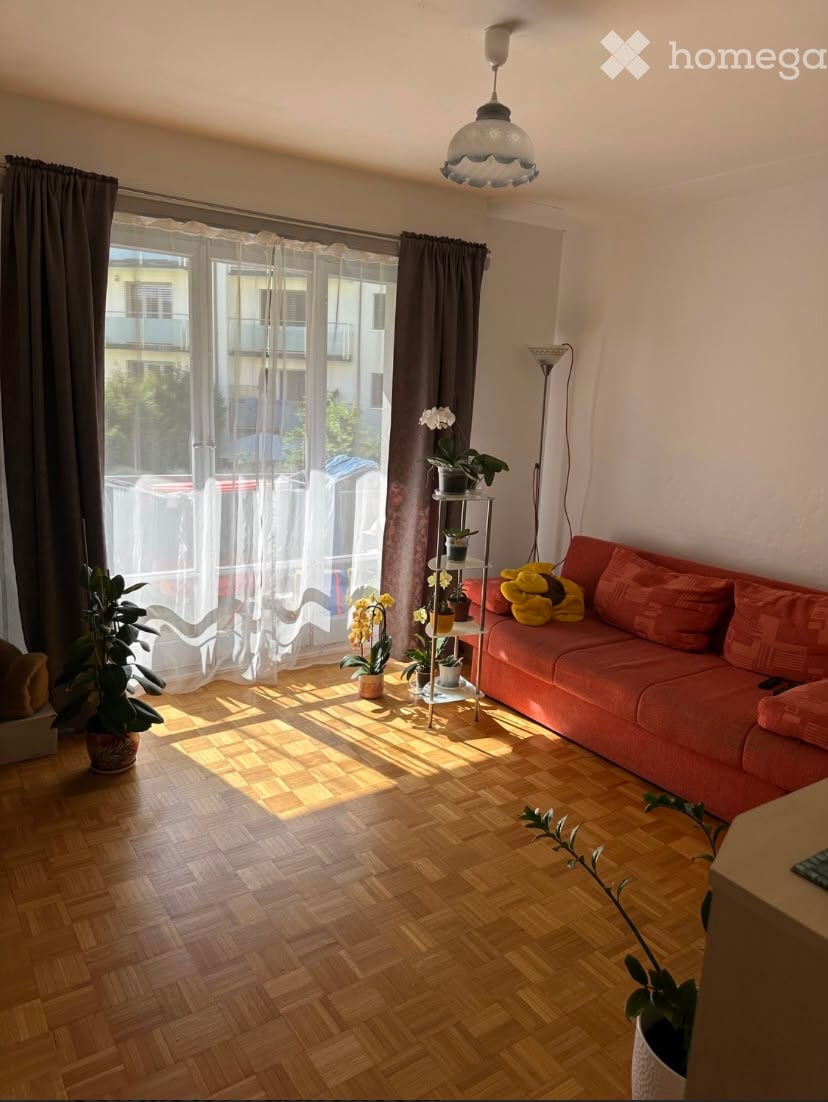 Bright living room with wooden parquet flooring, large window with sheer curtains, red sofa, small side table with potted plants, and a hanging ceiling light.