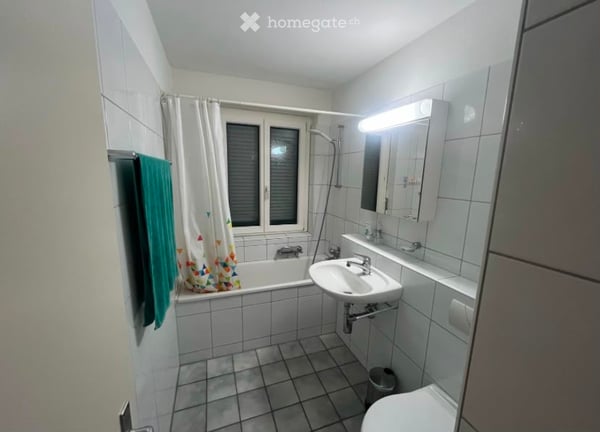 Appartement 2 pièces à Schaffhausen 5