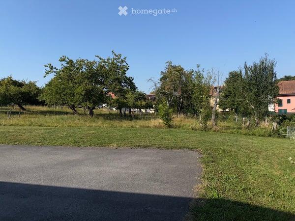 Duplex lumineux de 4 pièces à Morrens VD 3
