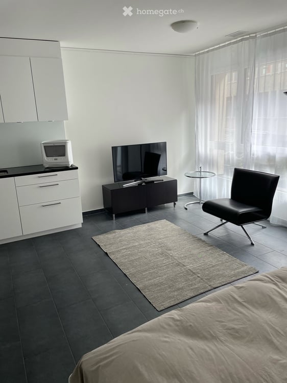 Luxury studio fully furnished in the heart of Zürich 3