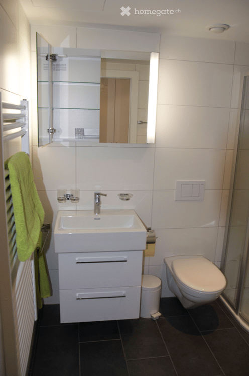 Luxury studio fully furnished in the heart of Zürich 5