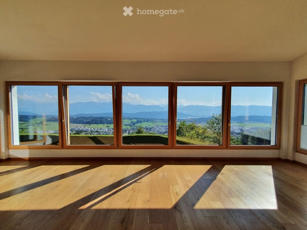 Single house in Eschenbach SG + self contained 2 bed 2 bath apartment 3