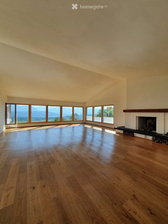 Single house in Eschenbach SG + self contained 2 bed 2 bath apartment 2