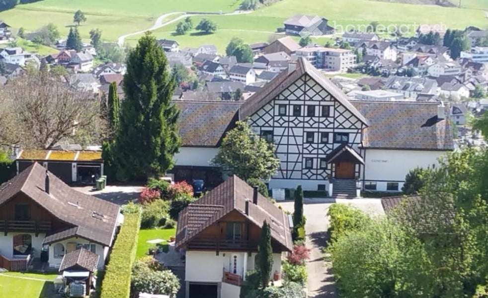 Large house with brown roof, white walls, brown door, surrounded by smaller houses, trees, and bushes, in a village with many houses and a green field in the background