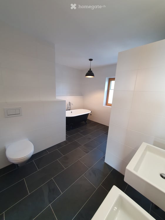 Single house in Eschenbach SG + self contained 2 bed 2 bath apartment 5