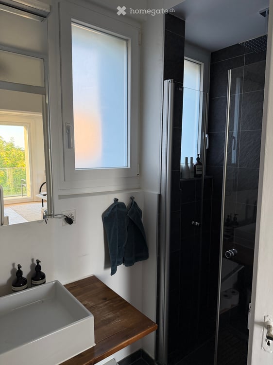 Bright Furnished 2.5-Room Apartment with Balcony in Renens 9