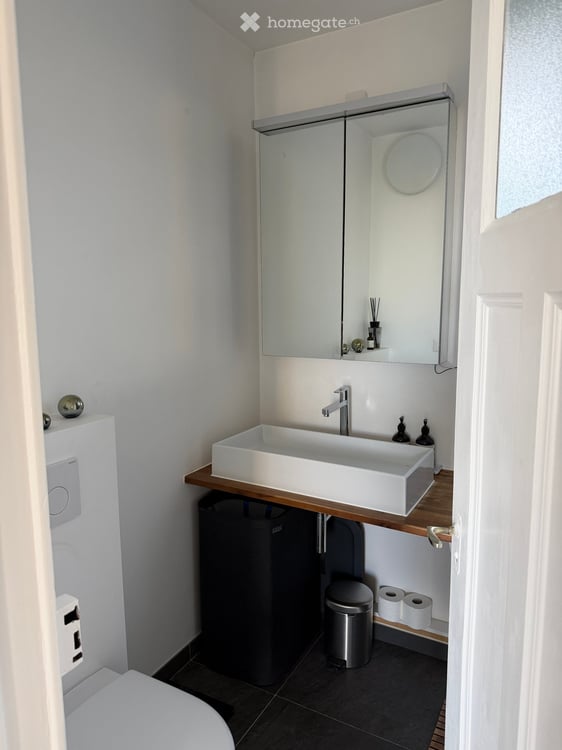Bright Furnished 2.5-Room Apartment with Balcony in Renens 8