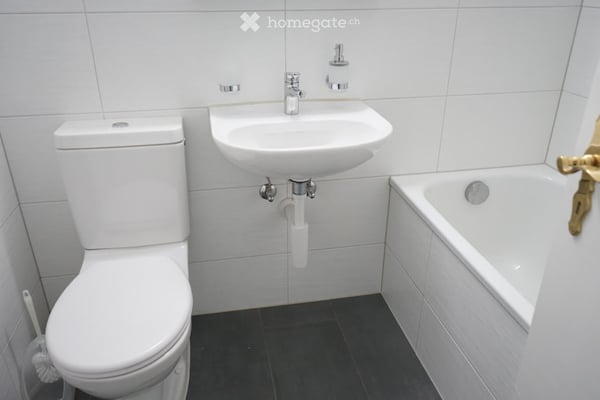 Neu renoviert, Nähe Bhf. Olten, ruhig, in grüner Umgebung, 6
