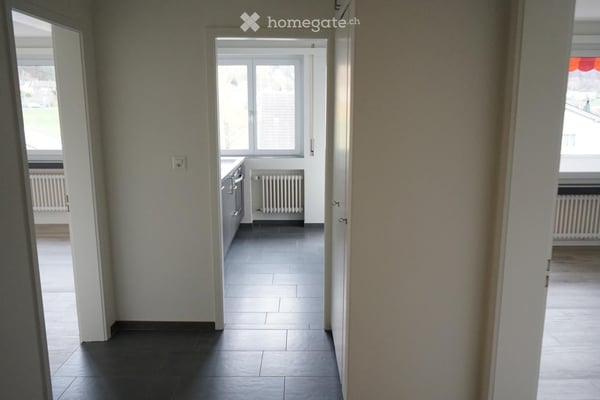 Neu renoviert, Nähe Bhf. Olten, ruhig, in grüner Umgebung, 2