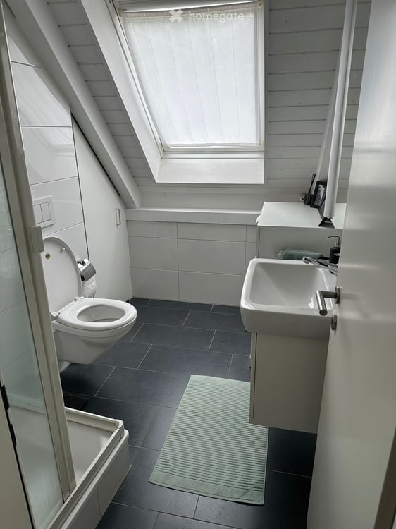 Charming 1.5-Room Duplex Apartment with Balcony & Scenic Views in Zürich Wollishofen 5