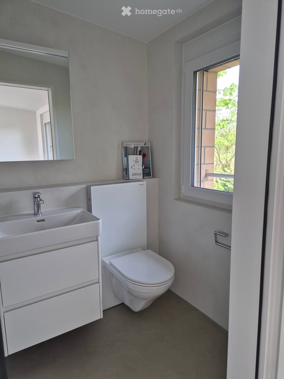Charmantes 5.5-Zimmer-Reiheneinfamilienhaus in Liestal – frisch renoviert! 16