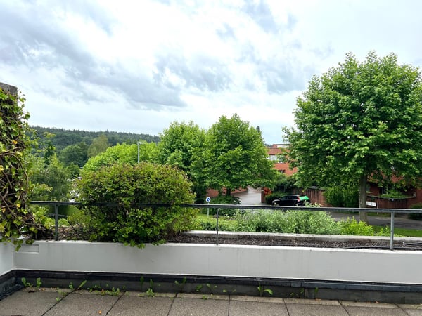 Helle 5.5-Zimmer-Wohnung mit Balkon und Garage in Küsnacht ZH 13