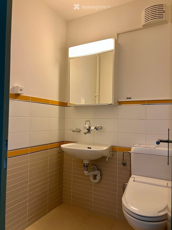 Helle 5.5-Zimmer-Wohnung mit Balkon und Garage in Küsnacht ZH 24