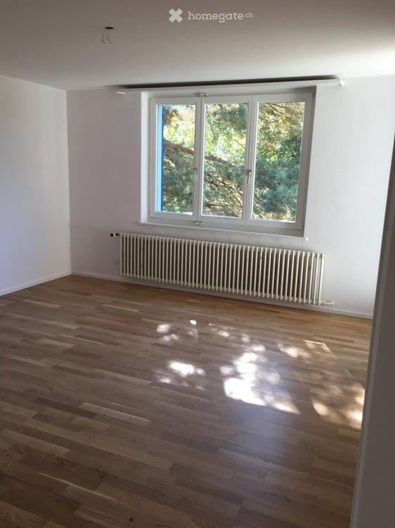 Sonnige und zentrale 3.5-Zimmerwohnung 7
