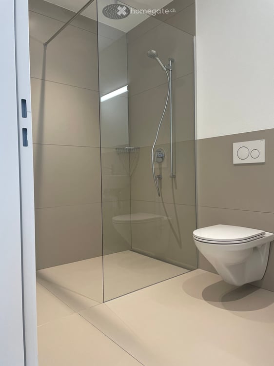Wohnung in Binningen 5