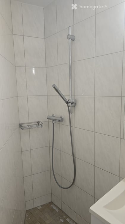 Helle 5.5-Zimmer-Wohnung im Erdgeschoss in Würenlos – sofort verfügbar! 10