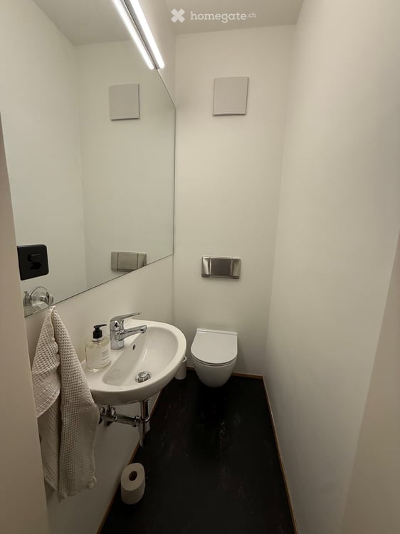 Wunderschöne 3.5 Zimmerwohnung im 1. Stock eines Stadthauses an der Marschalkenstrasse in Basel 6