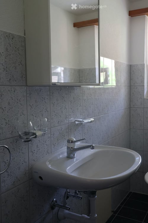 Grosszügige Wohnung in historischem Riegelhaus 10