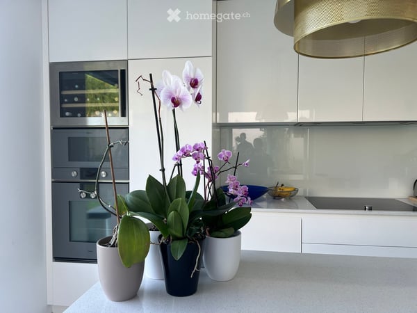 Villa contemporaine HPE (haute performance énergétique) de 6 pièces au Grand-Saconnex 1
