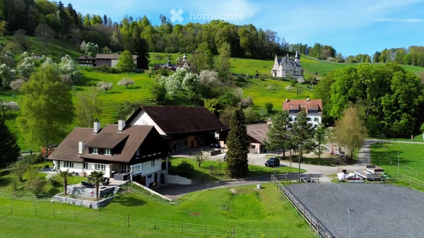 EXKLUSIVER REIT- UND PENSIONSTALL MIT 83'000 M2 LAND an idyllischer Lage in Neftenbach 1