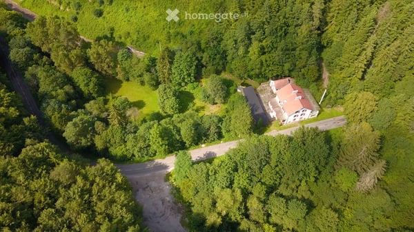 Mehrfamilienhaus mit vielen Nutzungsmöglichkeiten im Naturpark Nordvogesen im Elsass 2