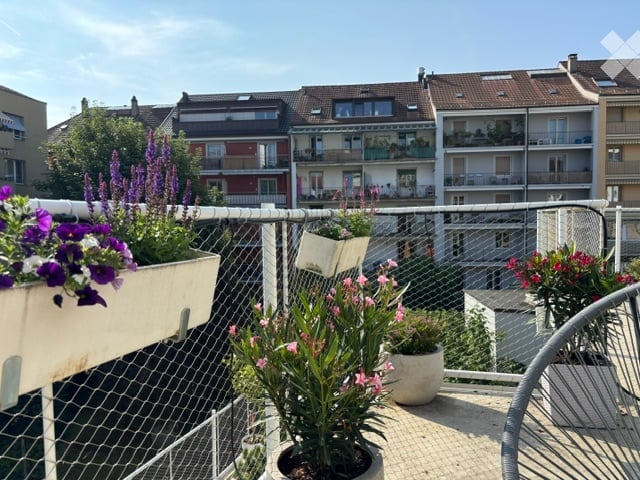 Balcony with metal railing, potted plants, and flowers, overlooking a residential area with multiple apartment buildings.